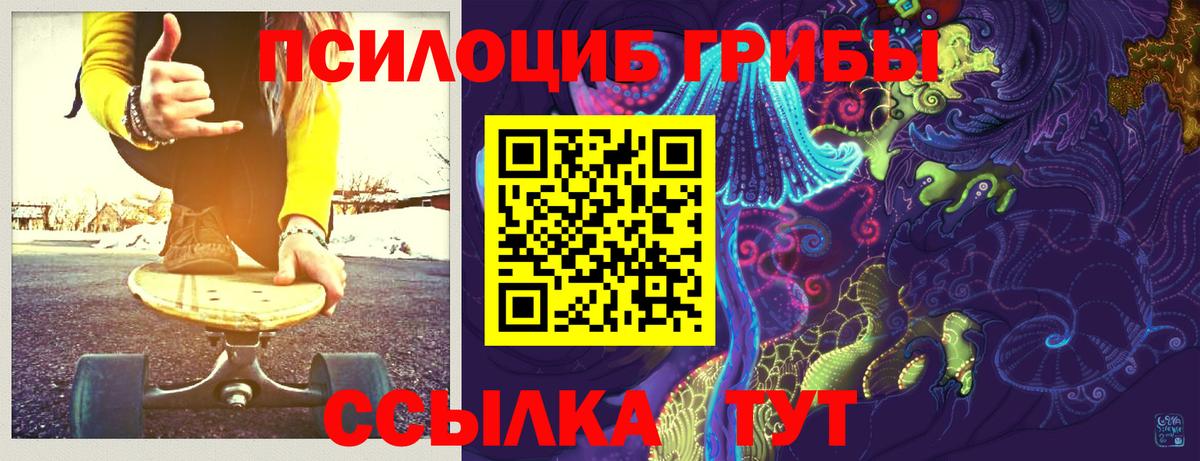 Псилоцибиновые грибы Psilocybine cubensis  Псилоцибиновые грибы прущие грибы  Вход с VPN  Лянтор 